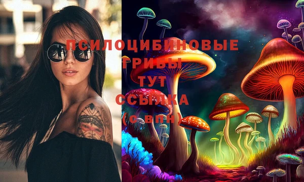 Альфа ПВП Переславль-Залесский