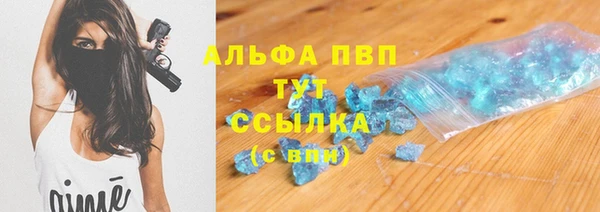 стаф Пестово