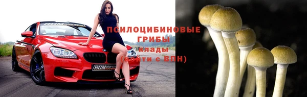 гашик Осташков