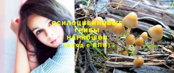 Альфа ПВП Переславль-Залесский