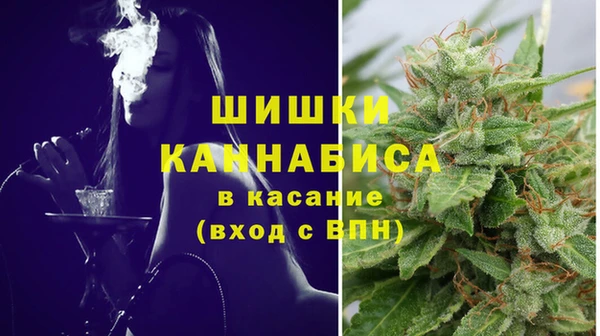 крисы Осинники