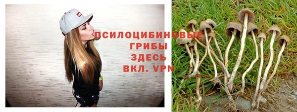 герыч Пересвет