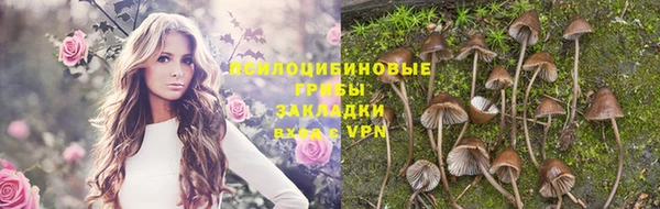 герыч Пересвет