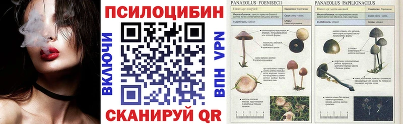 Псилоцибиновые грибы мухоморы  Приволжск 